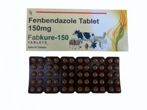 펜벤다졸 파브쿠어 150mg - 200정